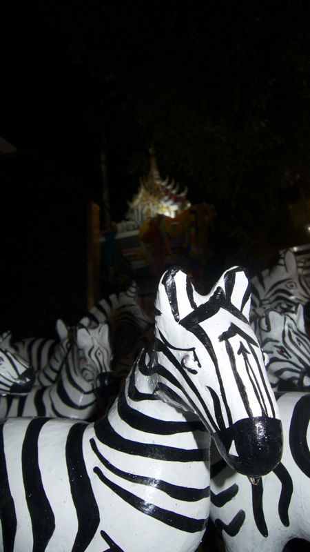 Zebra guard